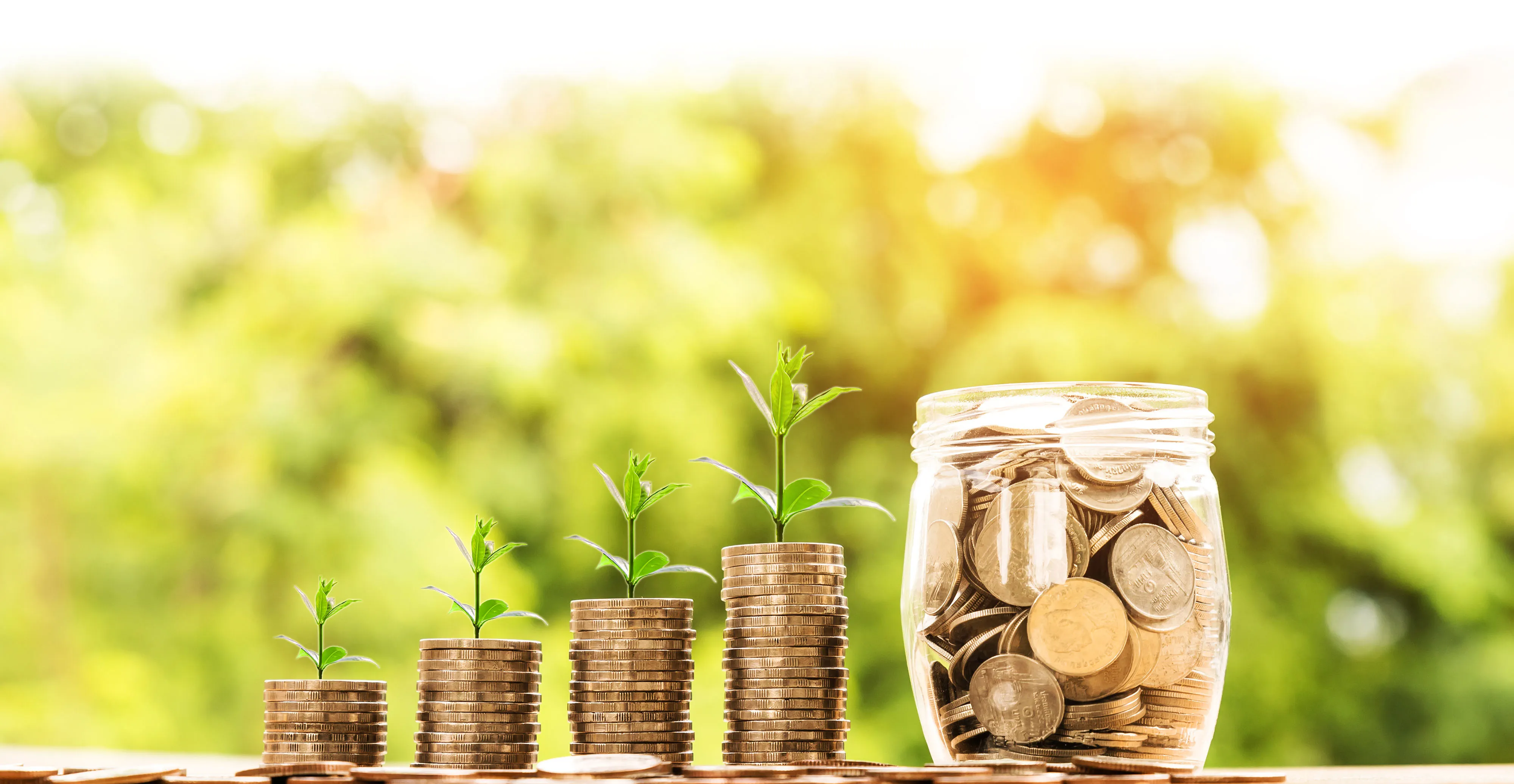 Bild mit Geld und Blumen
